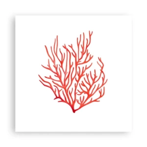 Affiche - Poster - Filigrane de corail - 40x40 cm