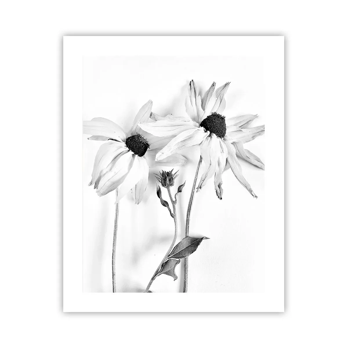 Affiche - Poster - Personne ne souhaite être seul - 40x50 cm