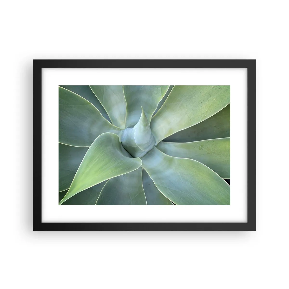 Affiche dans un cadre noir - Poster - La naissance de la verdure - 40x30 cm