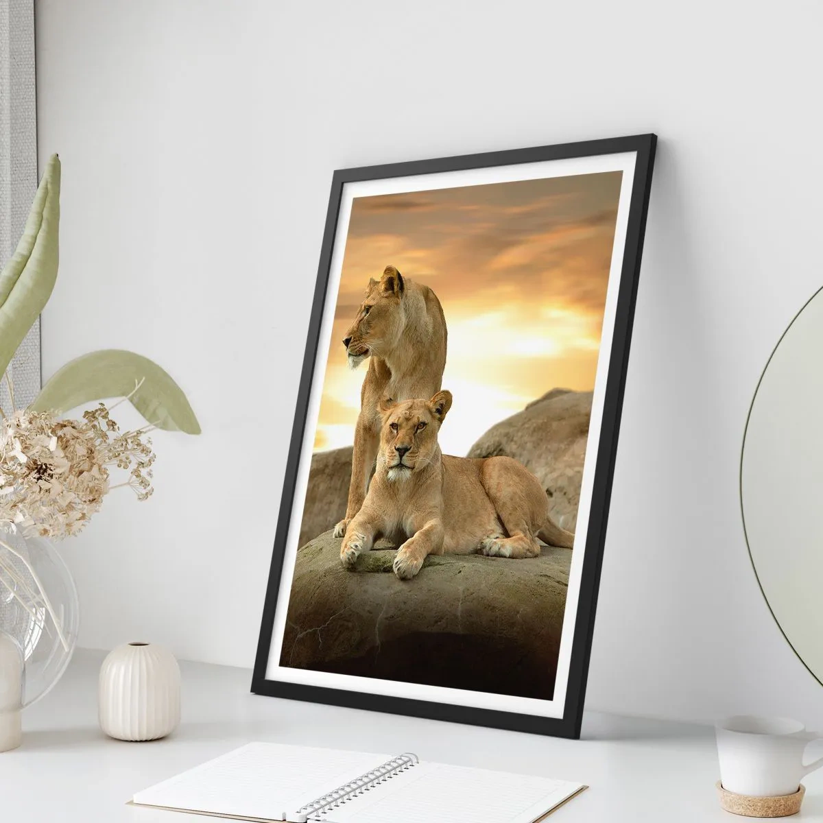 Affiche dans un cadre noir - Poster - Deux lionnes contre le soleil couchant - 50x70cm - Majesté royale - Décoration murale moderne pour le salon et la chambre ARTTOR