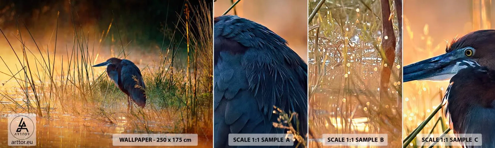 Échantillon De Papier Peint Standard Eco - Allez, laissez-moi en paix avec ces photos - Héron, Oiseau, Nature - 100x30 cm