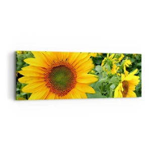 Impression sur toile - Image sur toile - Des centaines de soleils se sont embrasés - 90x30 cm