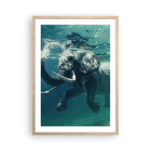 Affiche dans un chêne clair - Poster - Tout le monde aime nager - 50x70 cm