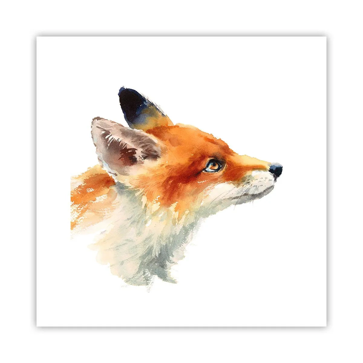 Affiche - Poster - Vous ne pouvez jamais être trop prudent - 30x30 cm