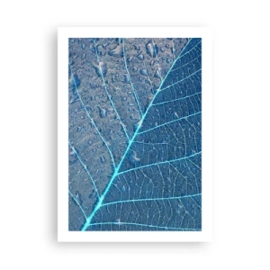 Affiche - Poster - Gros plan d'une feuille dans des tons de bleu - 50x70cm - La vie en bleu - Décoration murale moderne pour le salon et la chambre ARTTOR