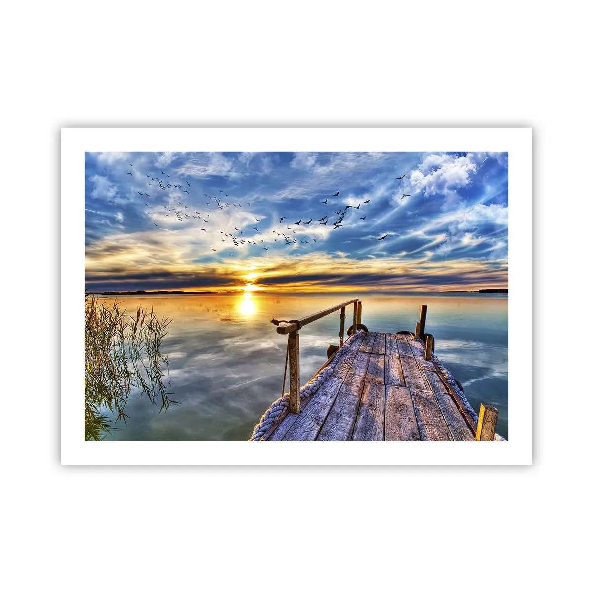 Affiche - Poster - Le vent se repose - 70x50 cm