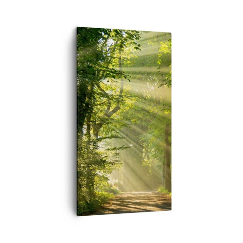 Impression sur toile - Image sur toile - Moment de forêt - 45x80 cm