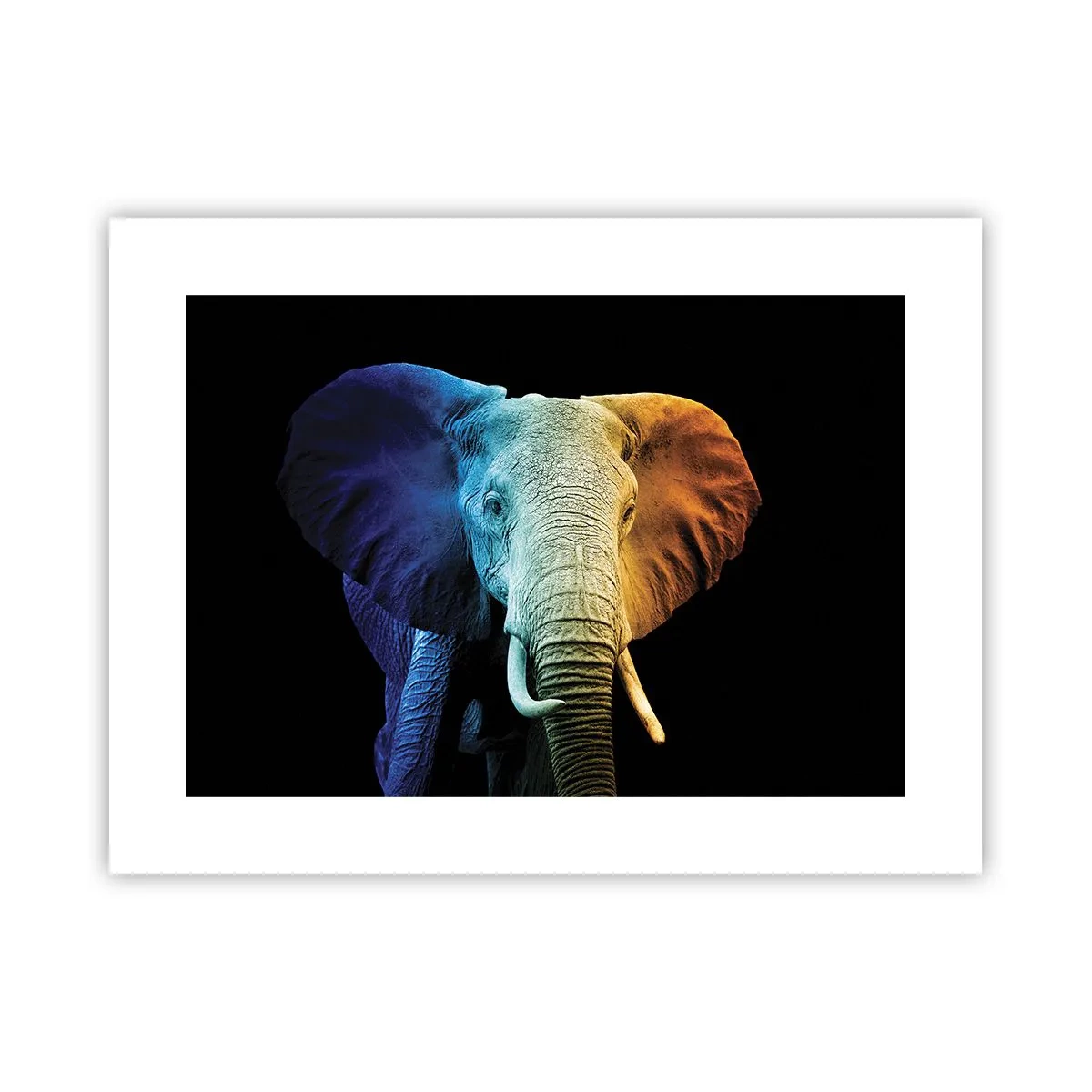 Affiche - Poster - Excentrique, pas bizarre - 40x30 cm