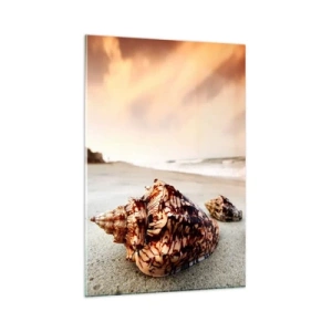 Impression sur verre - Image sur verre - Coquillages sur la plage au coucher du soleil - 80x120cm - Les parias des vagues - Décoration murale moderne pour le salon et la chambre ARTTOR