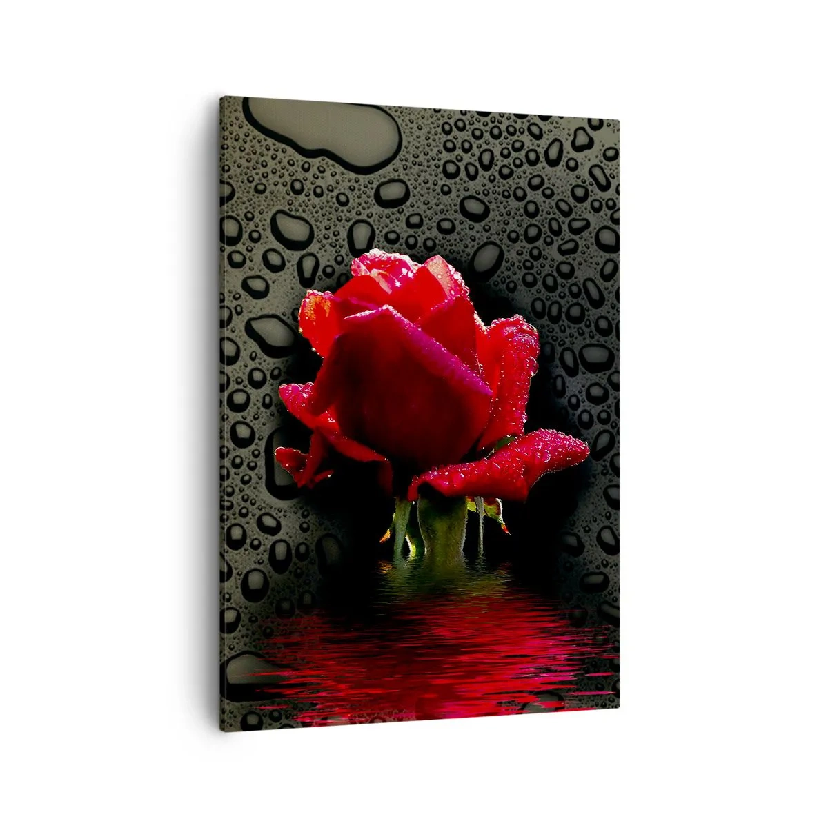 Impression sur toile - Image sur toile - Rose rouge avec des gouttes d'eau sur un fond sombre - 50x70cm - Rouge et noir - Décoration murale moderne pour le salon et la chambre ARTTOR