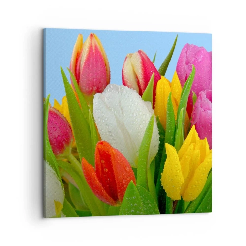 Impression sur toile - Image sur toile - Un arc-en-ciel fleuri en gouttes de rosée - 50x50 cm