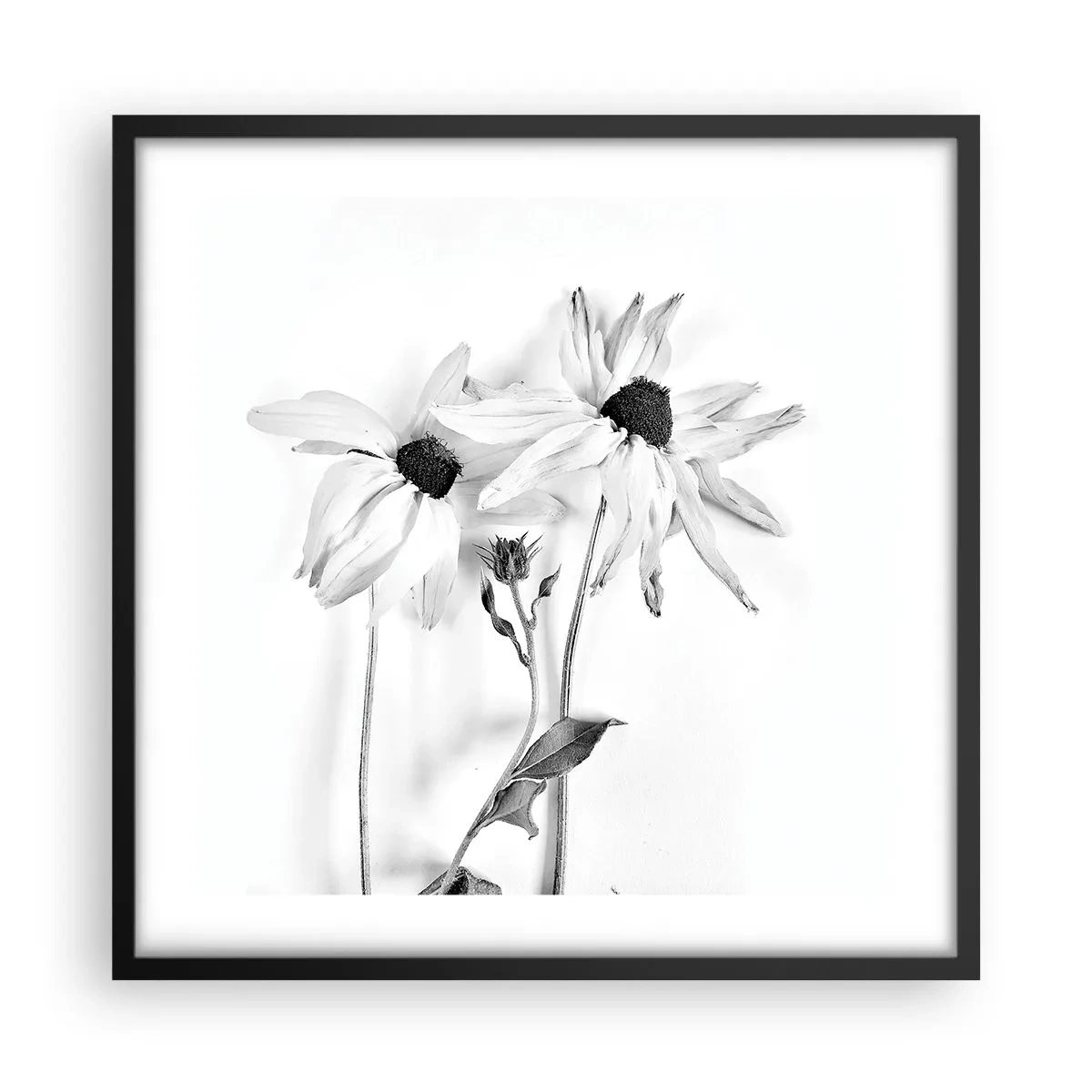 Affiche dans un cadre noir - Poster - Personne ne souhaite être seul - 50x50 cm