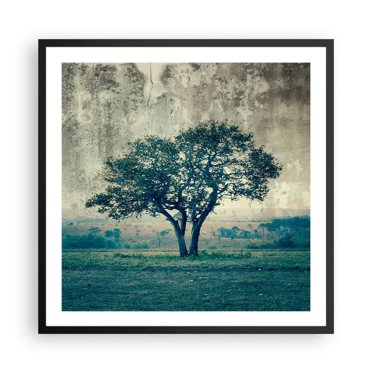 Affiche dans un cadre noir - Poster - Un pommier sur un champ bleu ? - 60x60 cm