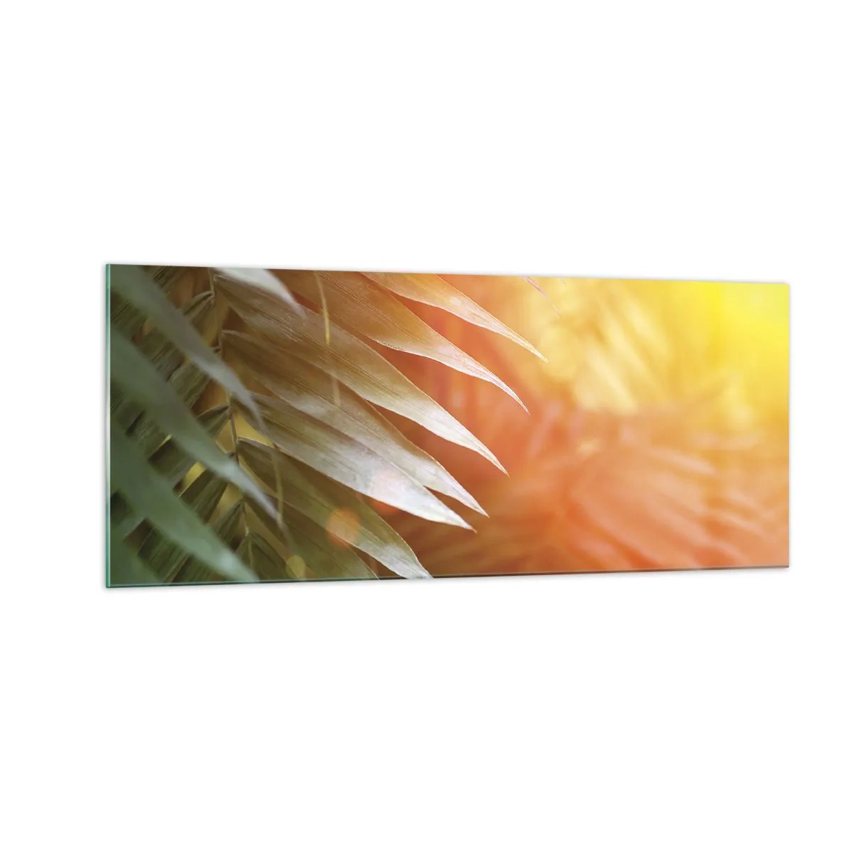 Impression sur verre - Image sur verre - Matinée dans la jungle - 100x40 cm