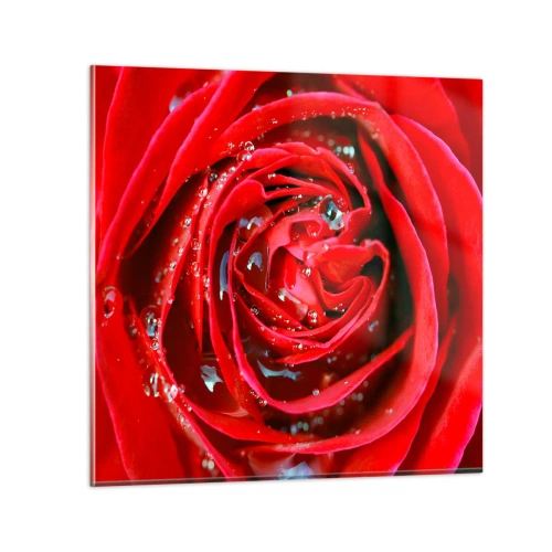 Impression sur verre - Image sur verre - Dans les gouttes de rosée - 30x30 cm