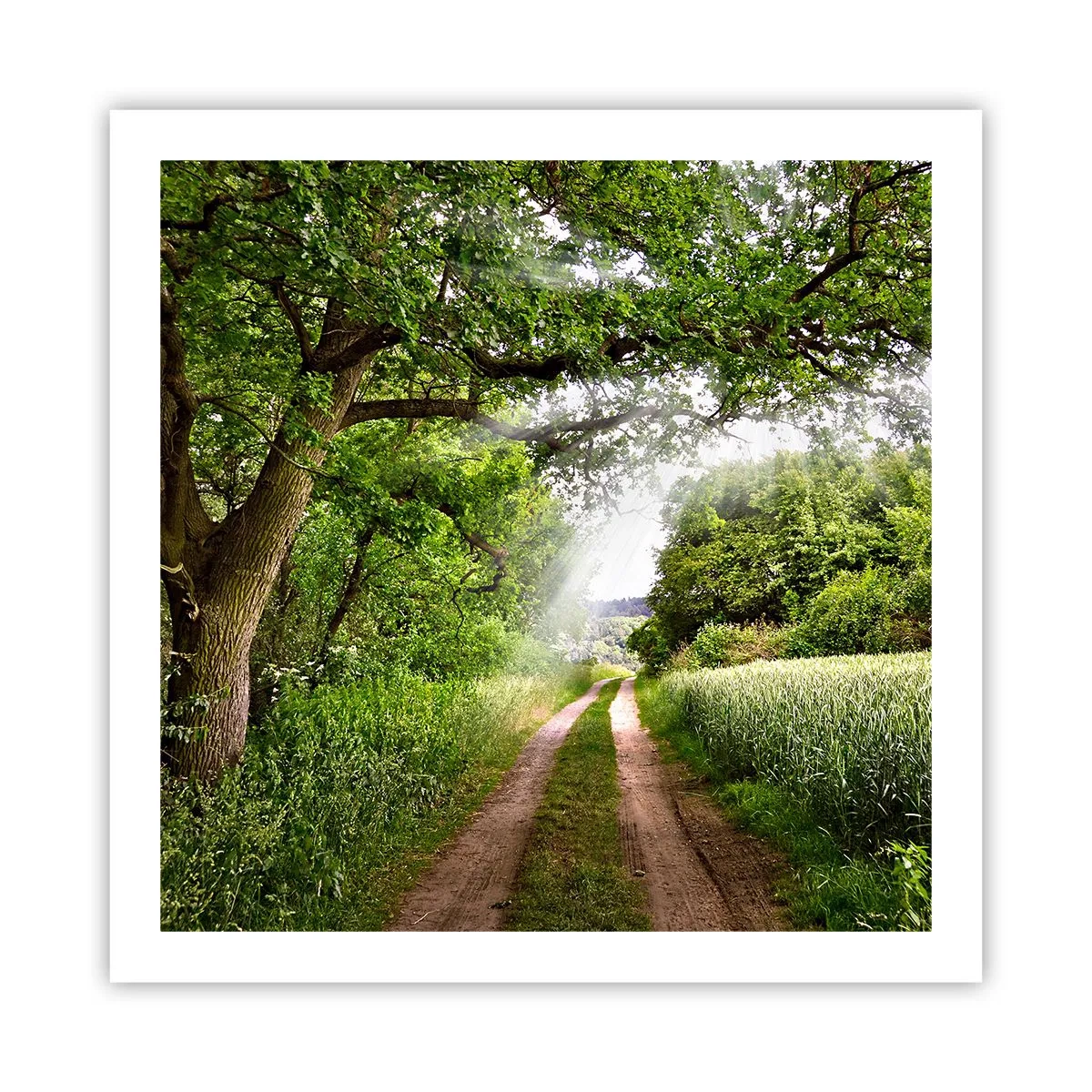 Affiche - Poster - Et in Arcadia ego - 60x60 cm