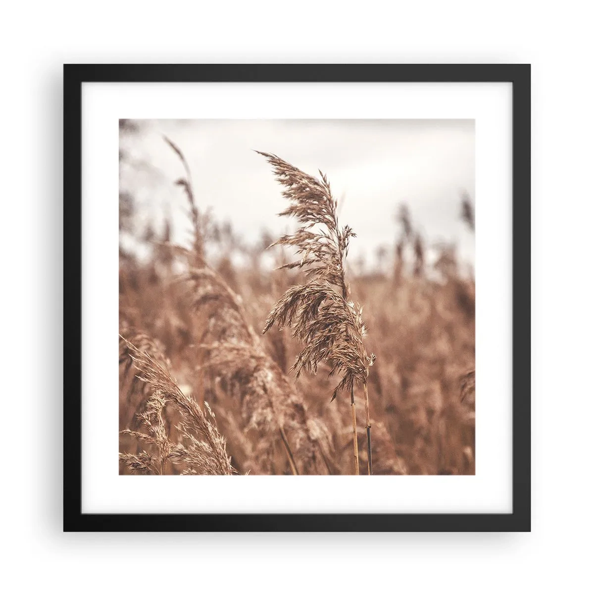 Affiche dans un cadre noir - Poster - C'est déjà l'automne dans les champs - 40x40 cm