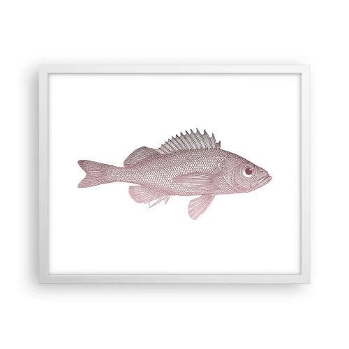 Affiche dans un cadre blanc - Poster - Poisson aux grands yeux - 50x40 cm