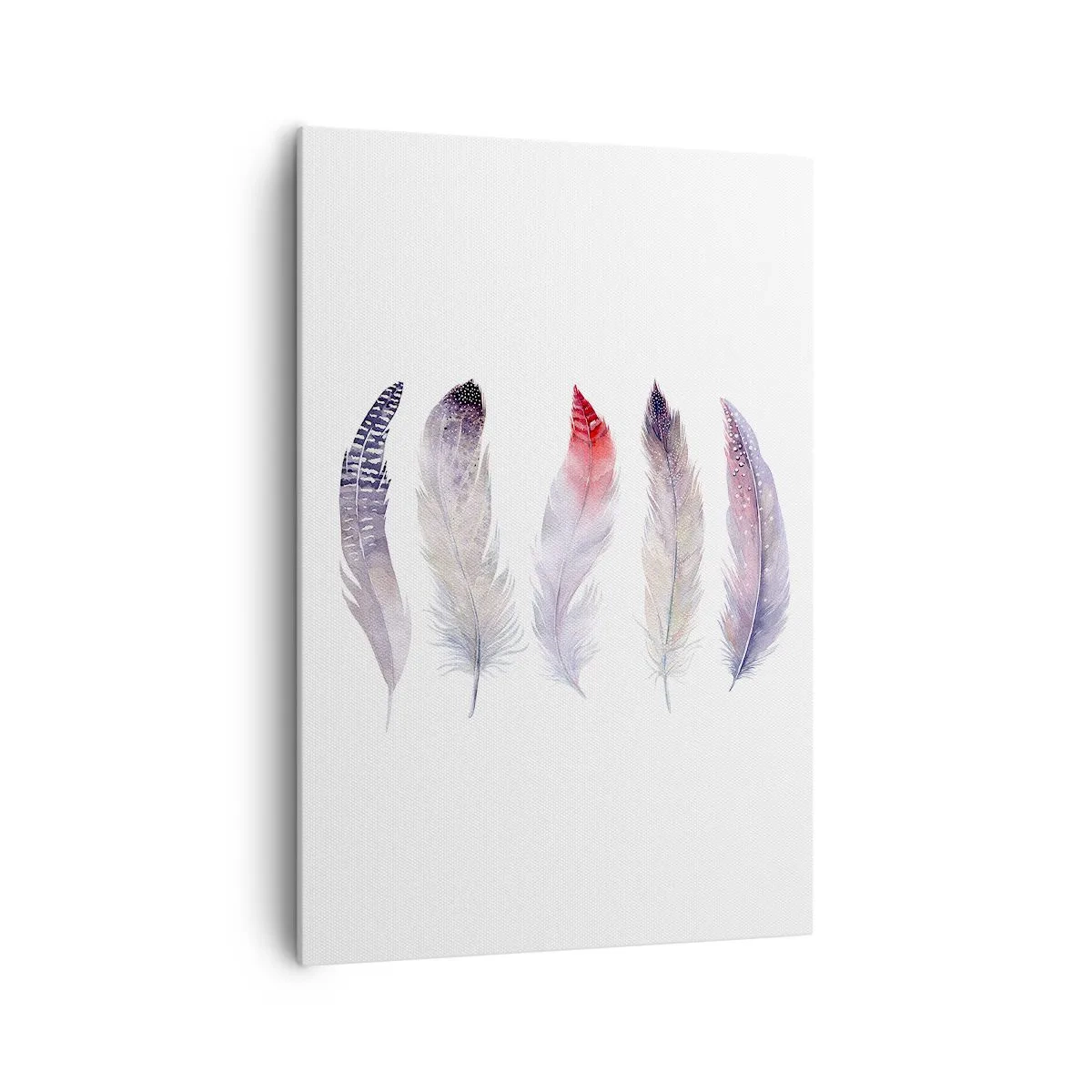 Impression sur toile - Image sur toile - Cinq plumes délicates aux tons pastel sur fond clair - 70x100cm - Délicat comme un brouillard multicolore - Décoration murale moderne pour le salon et la chambre ARTTOR