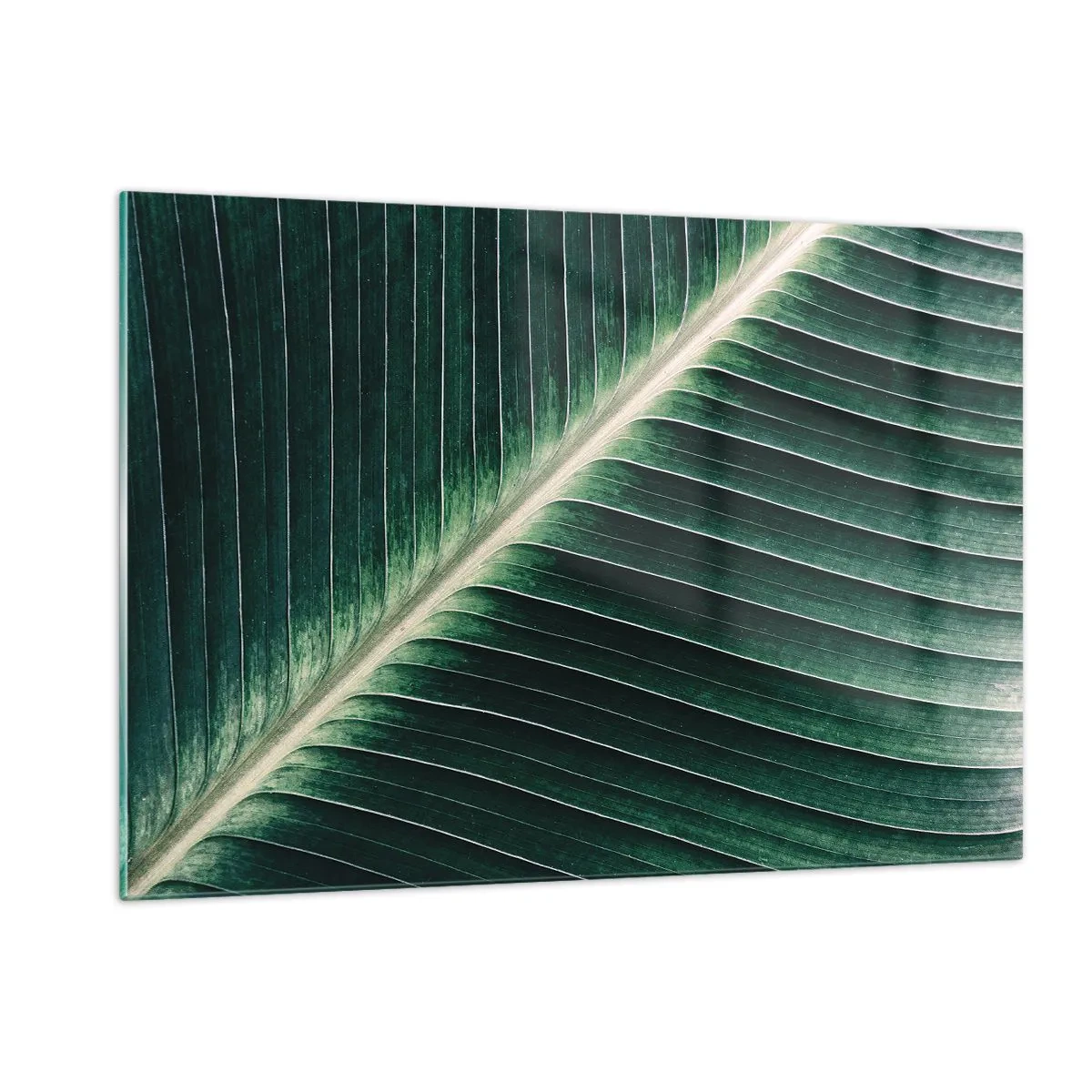 Impression sur verre - Image sur verre - Détail d'une feuille de bananier dans une nuance de vert intense - 120x80cm - Le rythme de la nature - Décoration murale moderne pour le salon et la chambre ARTTOR
