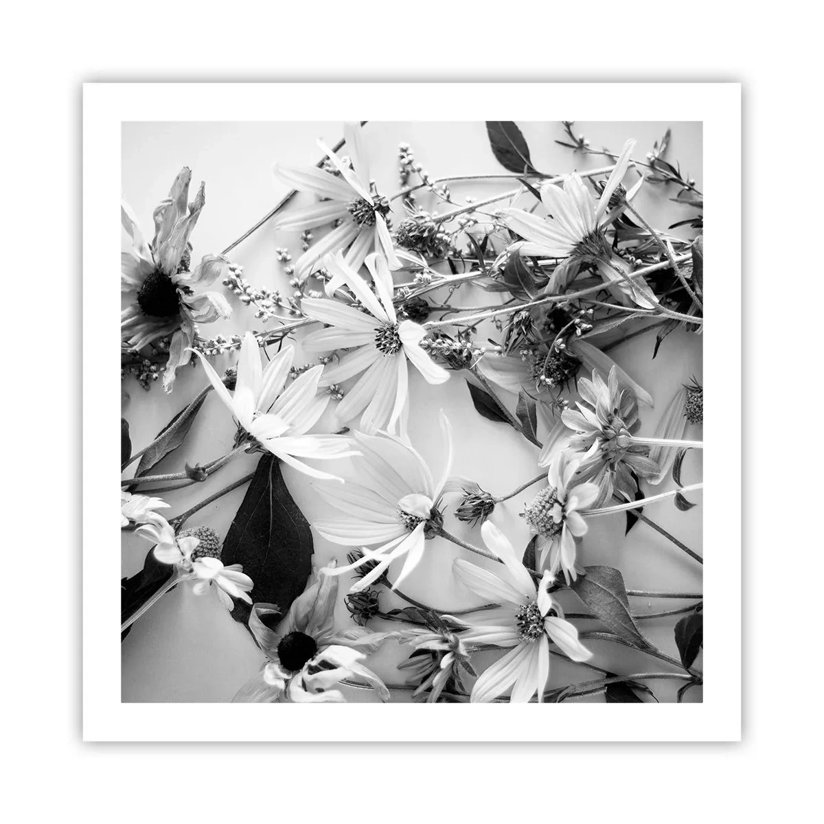 Affiche - Poster - Non-un bouquet de fleurs - 60x60 cm