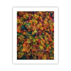 Affiche - Poster - Bouquet d'arbres automnal - 40x50 cm
