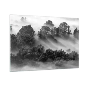 Impression sur verre - Image sur verre - Forêt brumeuse au soleil en noir et blanc - 100x70cm - Sortir de son sommeil - Décoration murale moderne pour le salon et la chambre ARTTOR