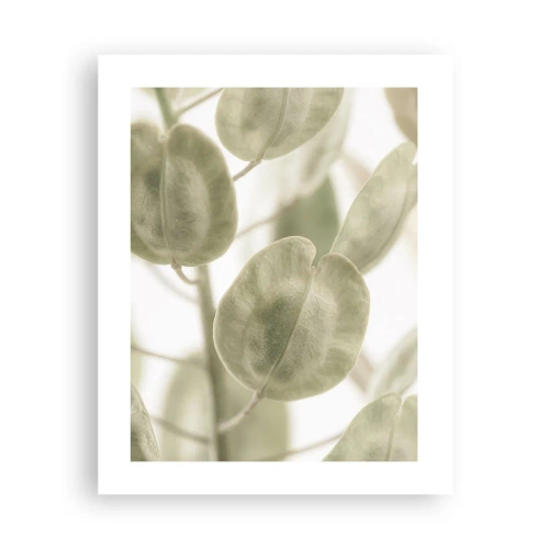 Affiche - Poster - Au commencement il y avait des feuilles... - 40x50 cm