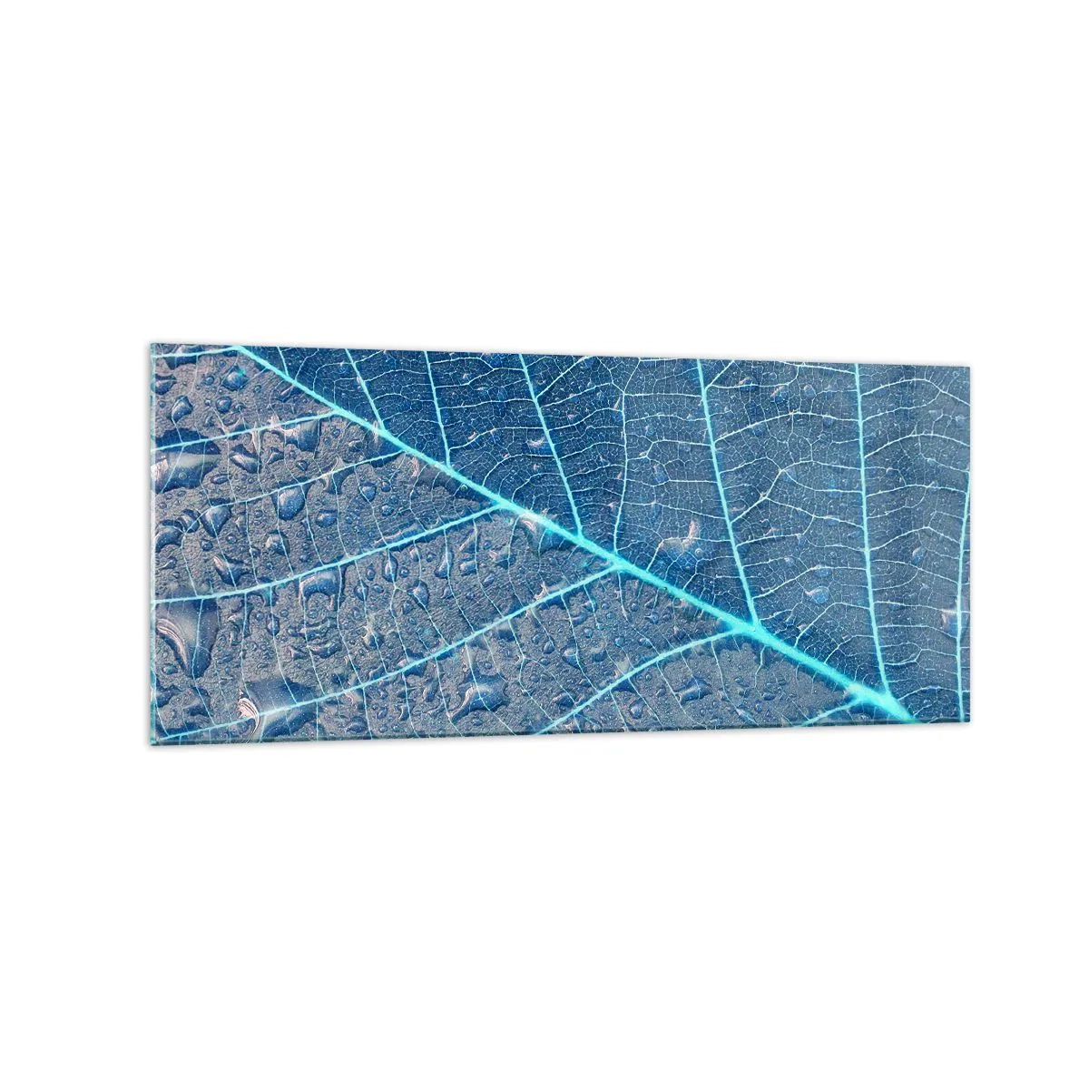 Impression sur verre - Image sur verre - Une feuille dans des tons bleus avec des gouttes d'eau - 120x50cm - La vie en bleu - Décoration murale moderne pour le salon et la chambre ARTTOR