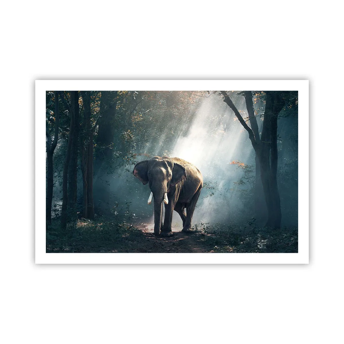 Affiche - Poster - Une balade tranquille - 91x61 cm