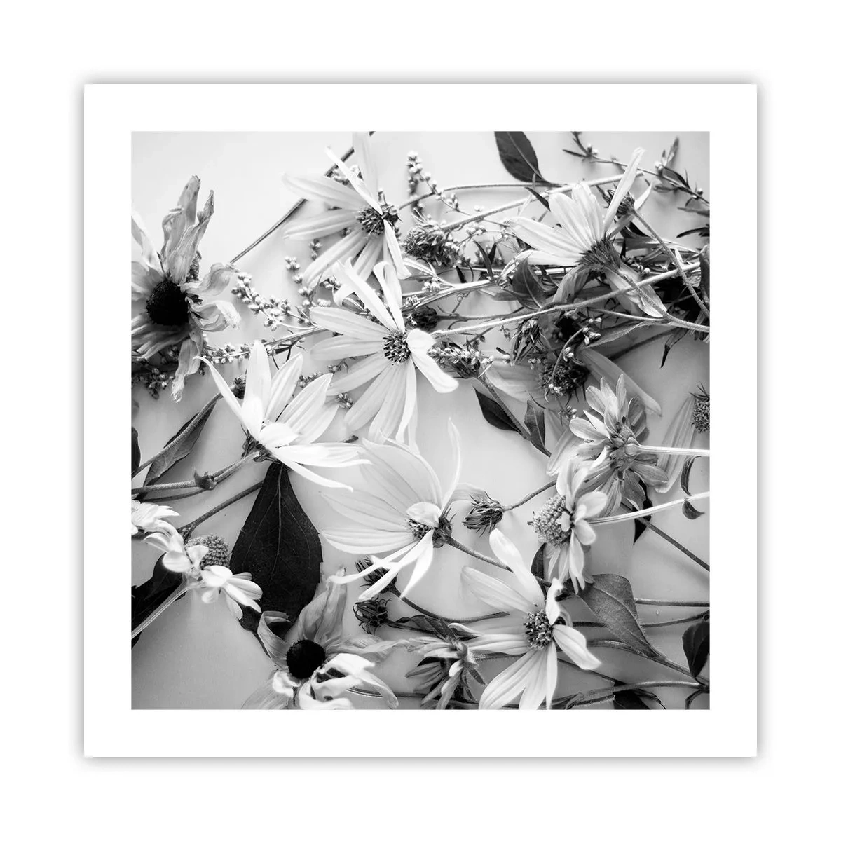 Affiche - Poster - Non-un bouquet de fleurs - 50x50 cm