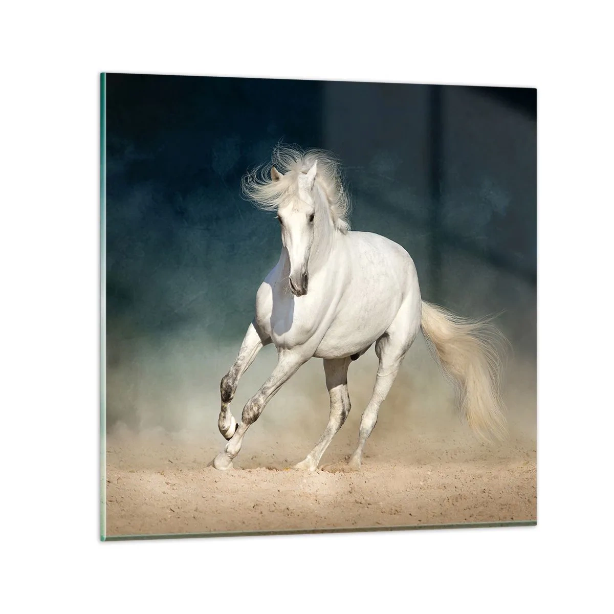 Impression sur verre - Image sur verre - La liberté à l'état pur - 30x30 cm