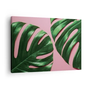 Impression sur toile - Image sur toile - Feuilles de monstera vertes sur fond rose - 70x50cm - Rendez-vous vert - Décoration murale moderne pour le salon et la chambre ARTTOR