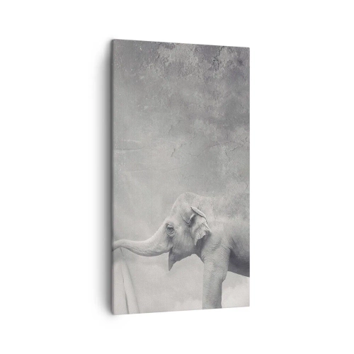 Impression sur toile - Image sur toile - Révéler le mystère - 45x80 cm