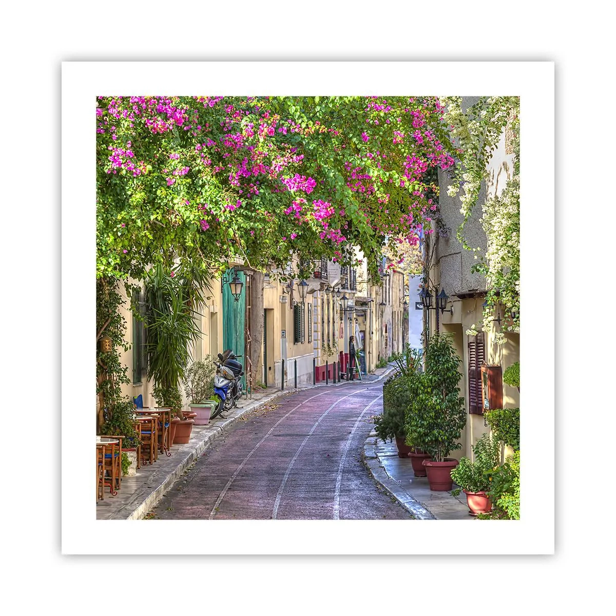 Affiche - Poster - Allée fleurie - 50x50 cm