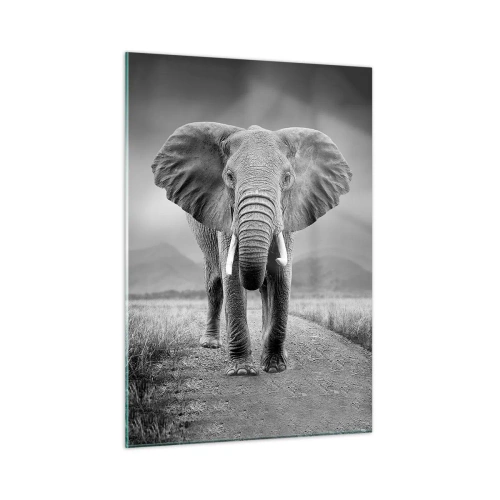 Impression sur verre - Image sur verre - Éléphant dans la savane en noir et blanc - 50x70cm - Les hôtes vous saluent - Décoration murale moderne pour le salon et la chambre ARTTOR