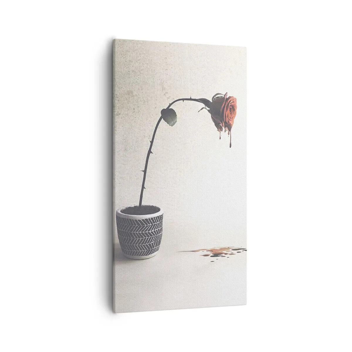 Impression sur toile - Image sur toile - Rosa dolorosa - 55x100 cm