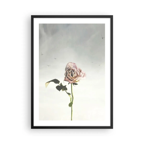Affiche dans un cadre noir - Poster - Une rose subtile contre un ciel délicat - 50x70cm - Bonjour de printemps - Décoration murale moderne pour le salon et la chambre ARTTOR