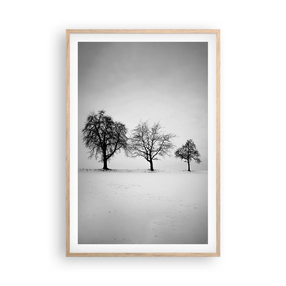 Affiche dans un chêne clair - Poster - A quoi rêvent-ils? - 61x91 cm