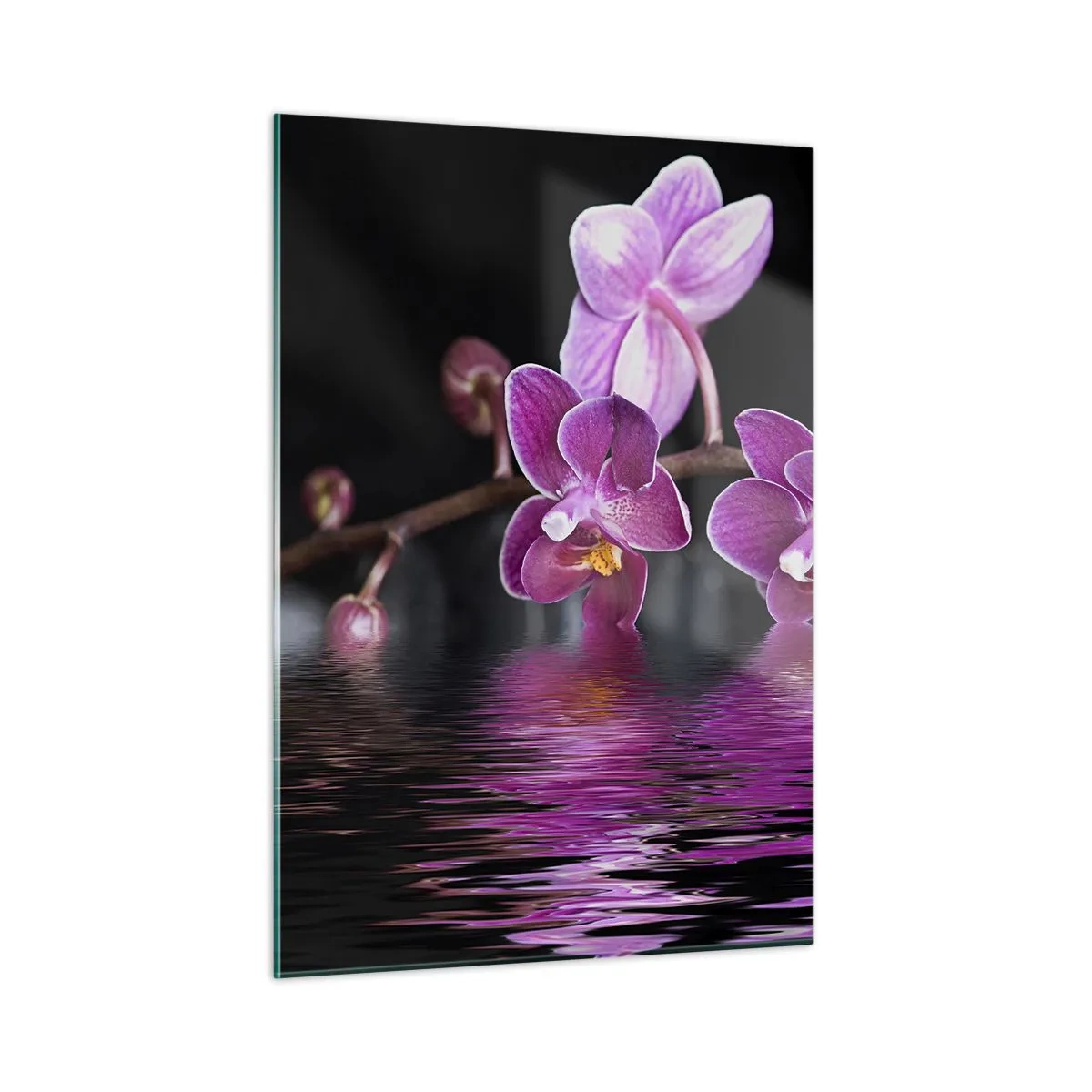 Impression sur verre - Image sur verre - Orchidées violettes se reflétant dans l'eau - 50x70cm - Reflet lilas de la beauté - Décoration murale moderne pour le salon et la chambre ARTTOR