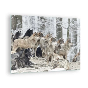Impression sur verre - Image sur verre - Une meute de loups dans la forêt d'hiver - 70x50cm - Famille et amis - Décoration murale moderne pour le salon et la chambre ARTTOR