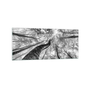 Impression sur verre - Image sur verre - Perspective d'arbres dans une forêt vue d'en bas en nuances de gris - 120x50cm - Course vers la lumière - Décoration murale moderne pour le salon et la chambre ARTTOR