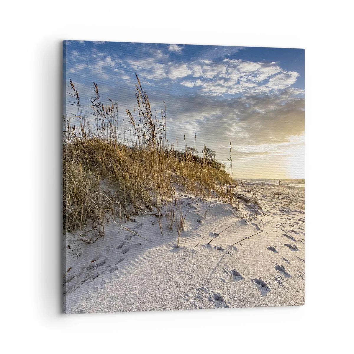 Impression sur toile - Image sur toile - Invitation à la ballade - 60x60 cm