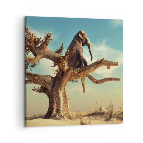 Impression sur toile - Image sur toile - Nouveau point de vue - 50x50 cm