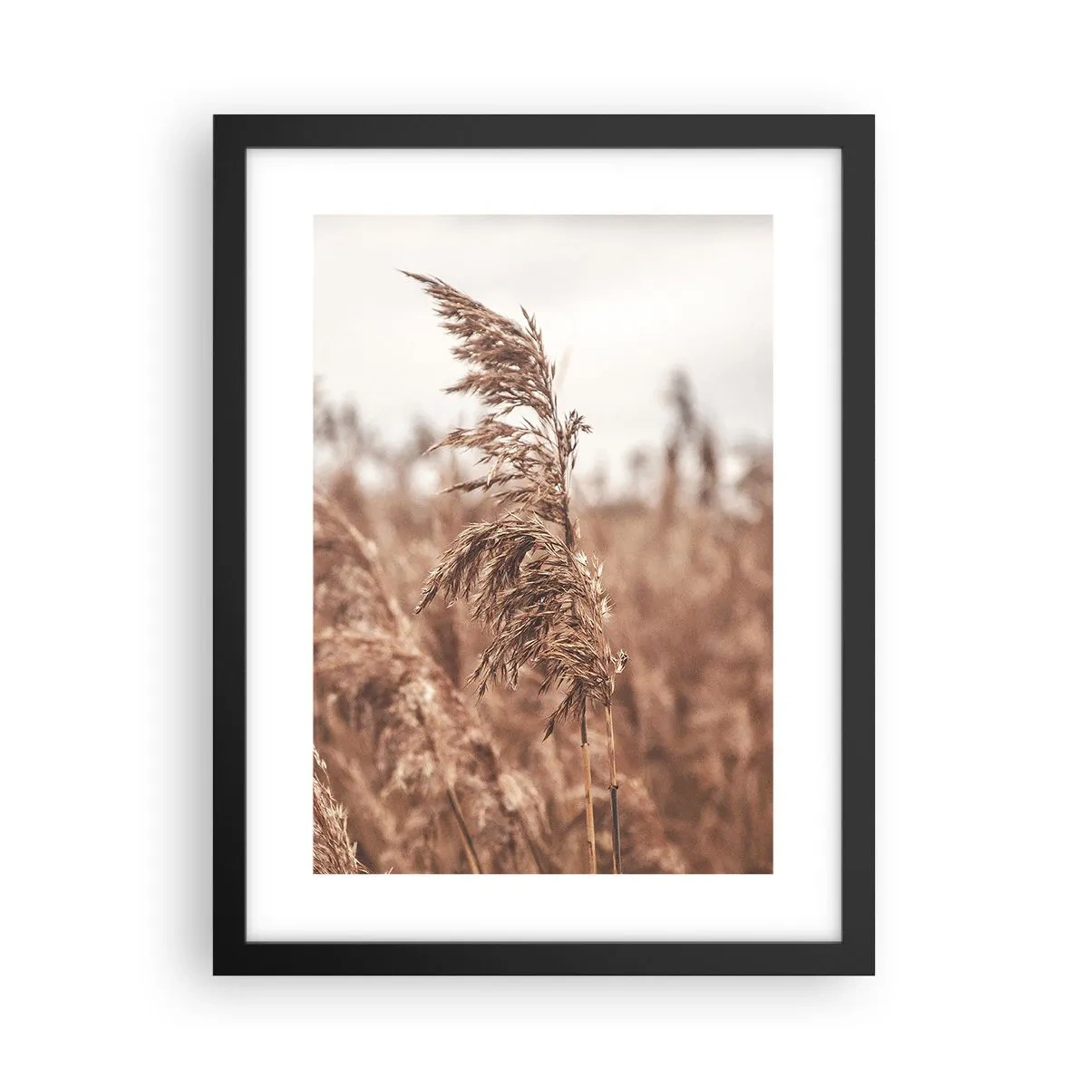 Affiche dans un cadre noir - Poster - C'est déjà l'automne dans les champs - 30x40 cm