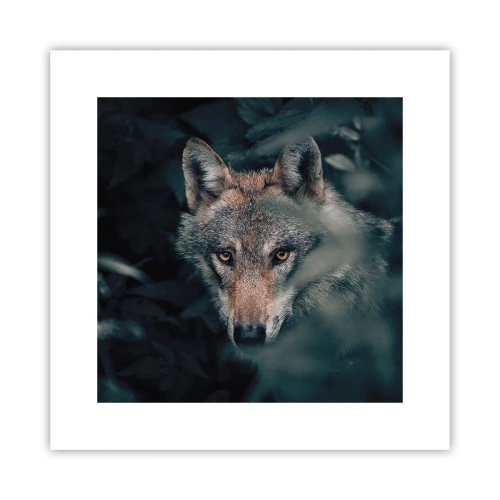Affiche - Poster - Chasseur - 30x30 cm