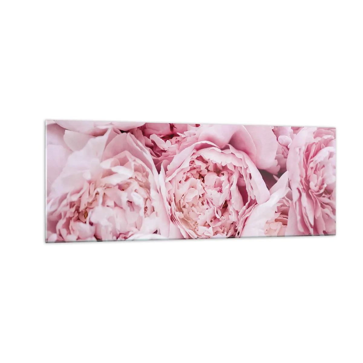Impression sur verre - Image sur verre - Gros plan d'un bouquet de pivoines roses - 140x50cm - Caliné et parfumé - Décoration murale moderne pour le salon et la chambre ARTTOR
