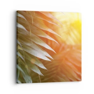 Impression sur toile - Image sur toile - Matinée dans la jungle - 30x30 cm