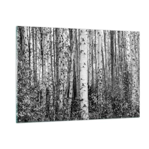 Impression sur verre - Image sur verre - Les bouleaux noirs et blancs créent un paysage forestier dense - 120x80cm - Enchevêtrement de bouleau - Décoration murale moderne pour le salon et la chambre ARTTOR