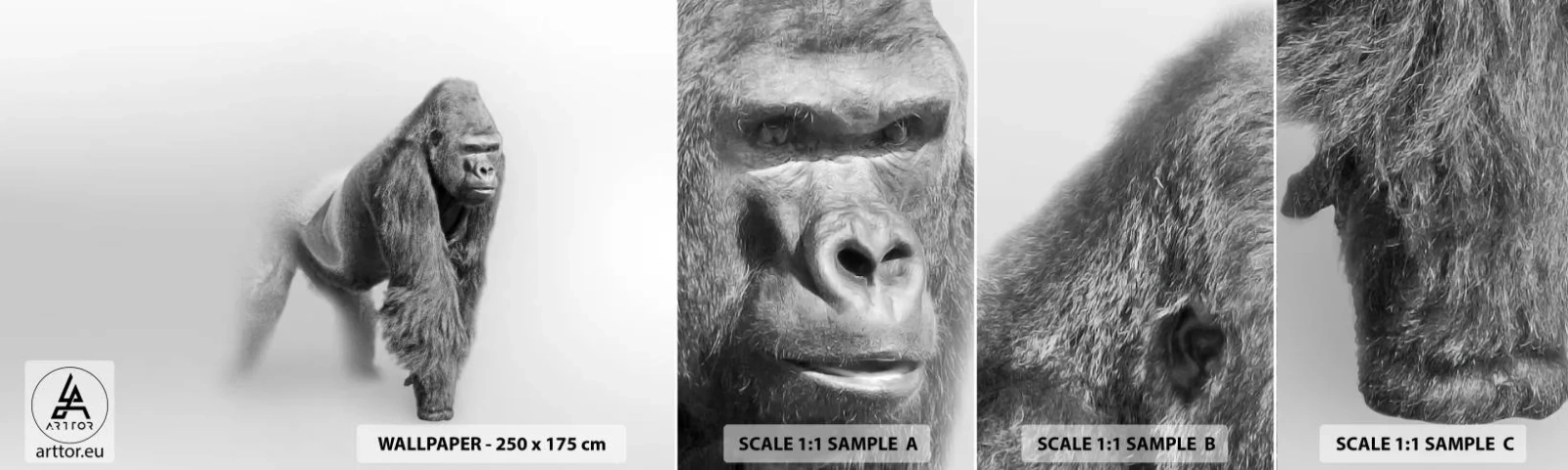 Échantillon de Papier Peint Autocollant Deluxe Sticker - Confiant en sa force - Animaux, Gorille, Singe - 100x30 cm